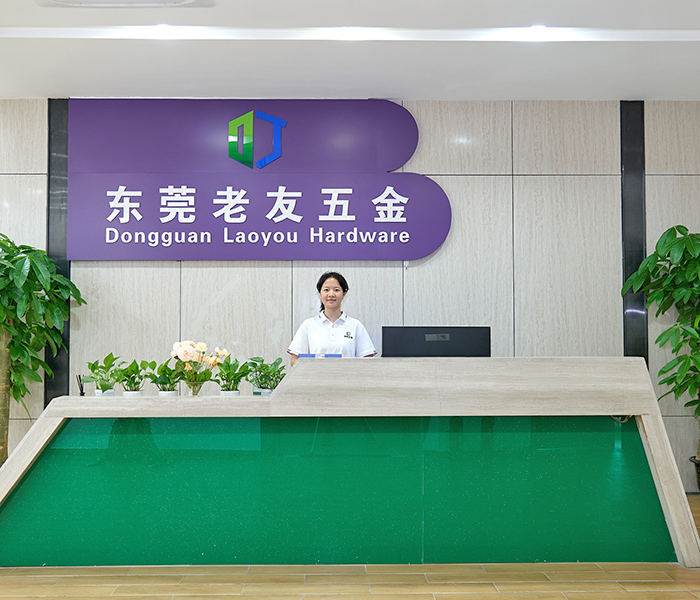东莞市老友五金制品有限公司